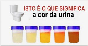 urina_-_cor