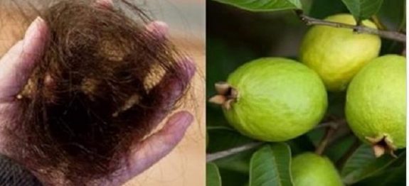 794abc3f71827d508c4ea48d4ea6b789