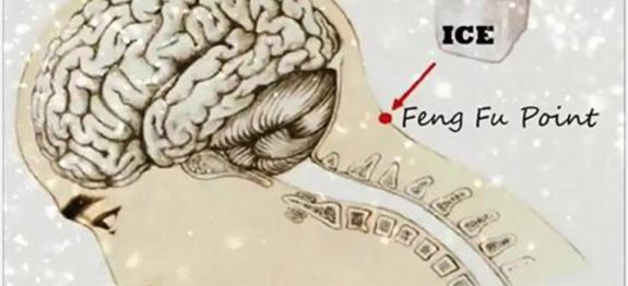 d993fd7d57426bd081bd45f7d636eba9