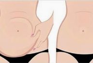 f15daa9f9e634daee82a2b999a69d32b