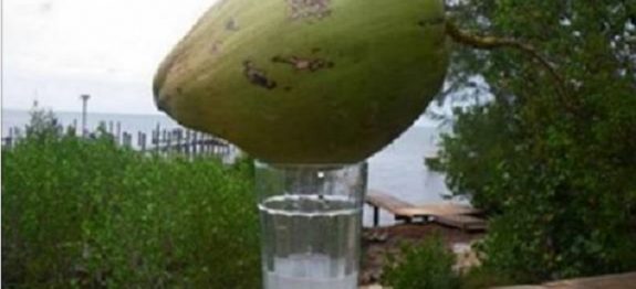 f290e8626f1774e27fafb96f5947ae6e