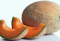 alimentos_alcalinos_-_novo_0