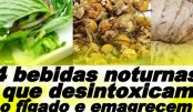 bebidas_-_figado-610×300