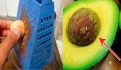 caroco_de_abacate_-_novo_-_julho_16_ed