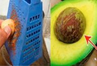 caroco_de_abacate_-_novo_-_julho_16_ed