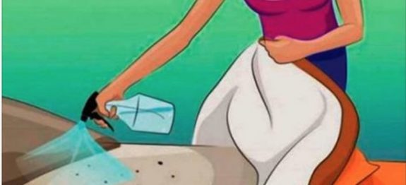 parasitas_-_colchoes-610×300