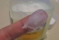 pele_-_clara_de_ovo-1-610×300