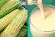 suco_de_milho-610×300