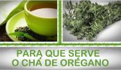 d580edffd2ba091943b77824c866cb4c