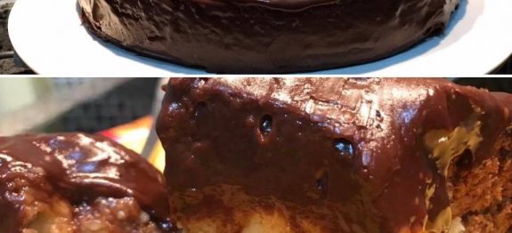 17021692_228041127659244_6399130678333636762_n