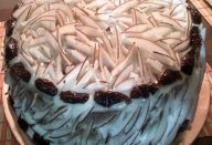 18671289_284018308728192_6027778854071742975_n