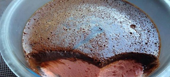 22528563_359507057845983_7708046685854682149_n