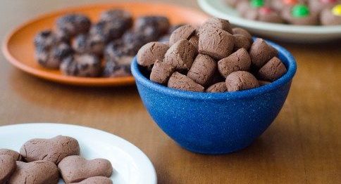 Biscoitinho de chocolate fácil