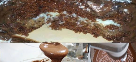 Bolo de Chocolate com Cobertura de Chocolate e Recheio de Coco