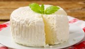 cheese