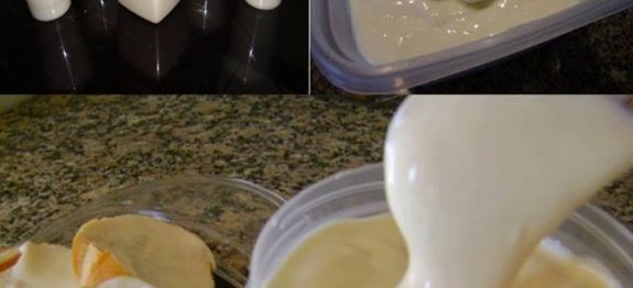 Requeijão caseiro 2 ingredientes