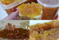 20246375_331484770648212_1957191576716005109_n