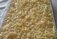 22256480_1492276284194538_1879543768681519890_o-1