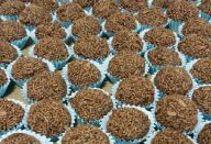 Brigadeiro Fácil