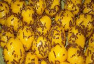 Brigadeiro de Cenoura