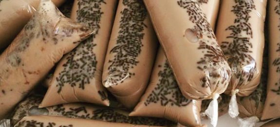 Geladinho de Brigadeiro