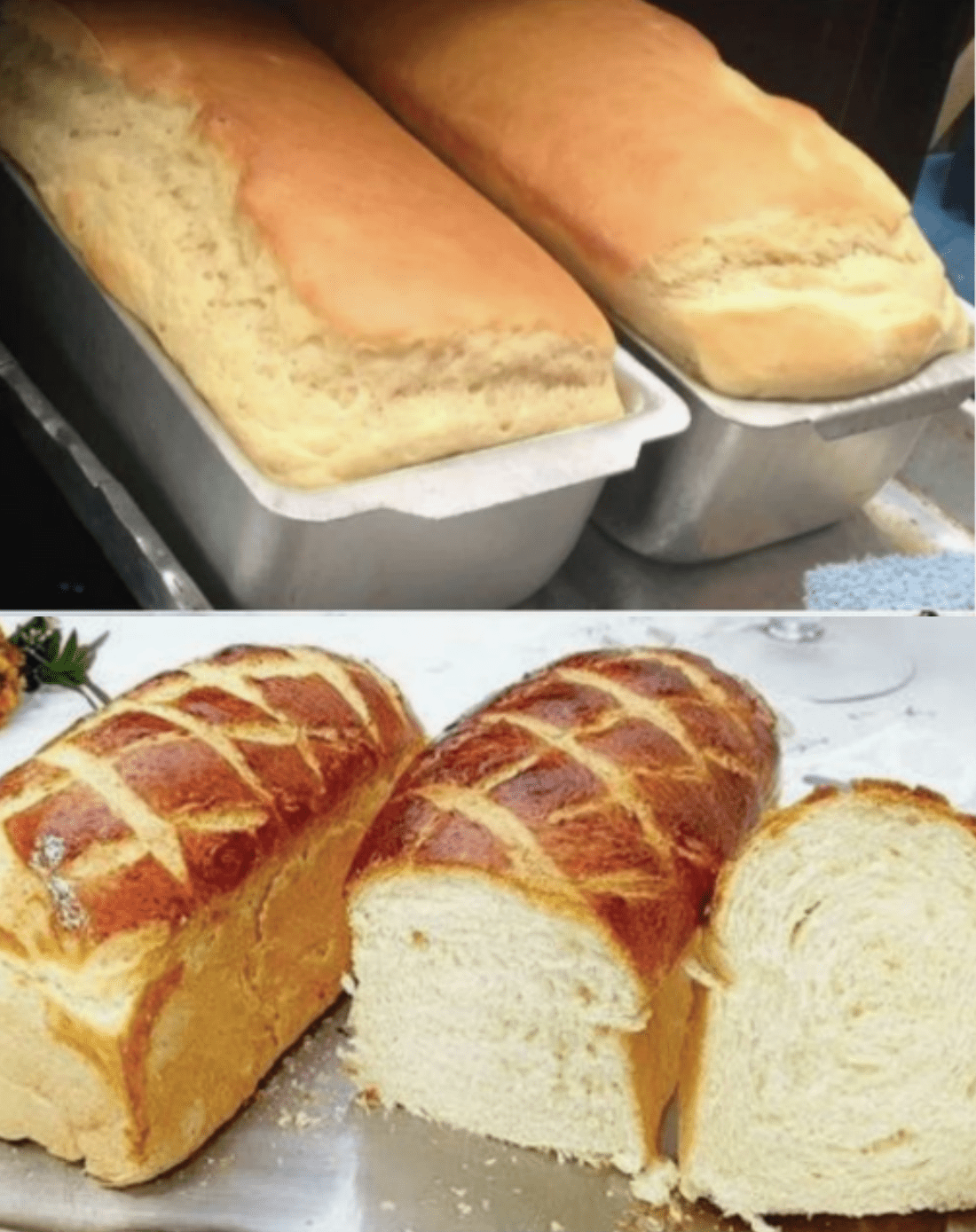 PÃO DE LIQUIDIFICADOR QUE NÃO PRECISA SOVAR (MASSA MOLE) O MAIS