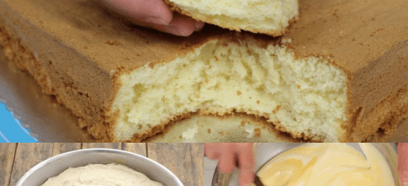 228328684_4423613304364990_7630172324038473867_n