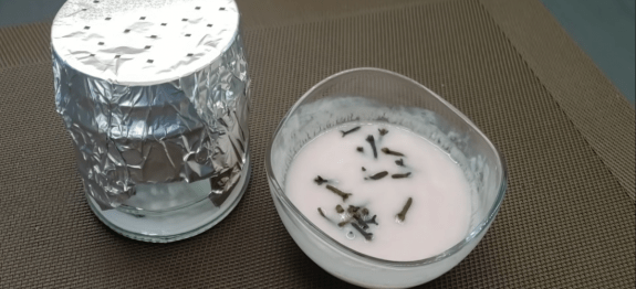 Misture-bicarbonato-e-cravo-e-tenha-aromatizante-que-perfuma-e-afasta-insetos