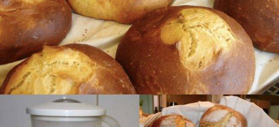 ADEUS PADARIA! APRENDI A FAZER ESSE PÃOZINHO DELICIOSO DE LIQUIDIFICADOR E NUNCA MAIS QUIS SABER DE OUTRO!