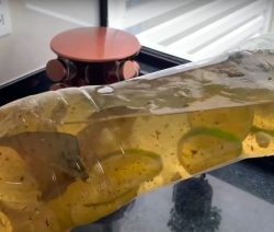 CHÁ GELADO QUE SECA INCHAÇO DO ROSTO, BRAÇOS E BARRIGA… ELIMINA INSTANTANEAMENTE A SENSAÇÃO DE ESTUFAMENTO!
