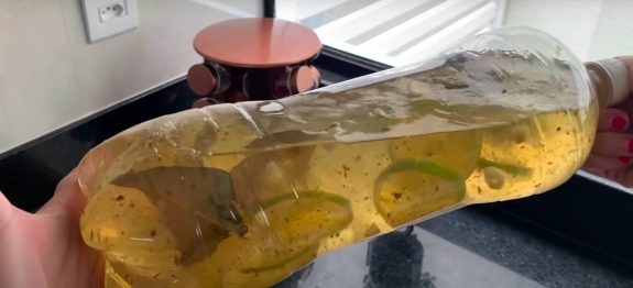 CHÁ GELADO QUE SECA INCHAÇO DO ROSTO, BRAÇOS E BARRIGA… ELIMINA INSTANTANEAMENTE A SENSAÇÃO DE ESTUFAMENTO!
