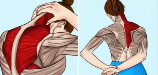 11 melhores exercícios para aliviar a dor e a tensão no pescoço e ombros