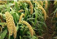 9 alimentos que você deve comer mais depois de completar 40 anos…Ver mais