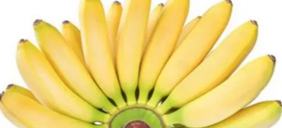BANANA