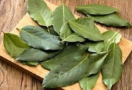 Com esta folha, você vai combater diabetes, insônia, pressão alta, tosse e ainda perder peso.