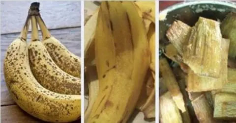 Ferva banana com canela e tome esta mesma noite! Descubra os benefícios.. Ver mais