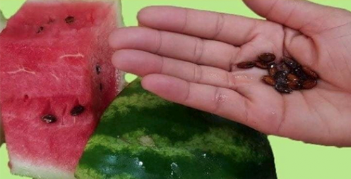 Melhor que comprimidos! Ferva as sementes de melancia desta forma e em pouco tempo seu corpo terá estes benefícios.. Ver mais