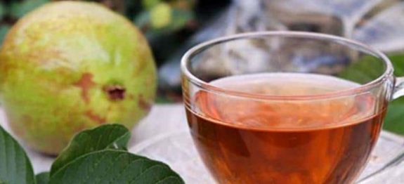 Chá-de-folha-de-goibeira