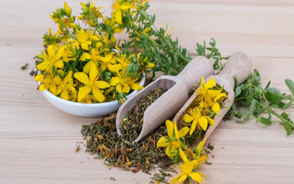 Este é o melhor chá para combater a depressão e a ansiedade