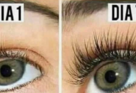 Este óleo fará seu cabelo, cílios e sobrancelhas crescer muito mais rápido