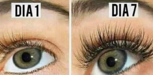 Este óleo fará seu cabelo, cílios e sobrancelhas crescer muito mais rápido