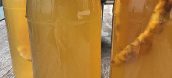 PREPARE ESSE CHÁ DE GENGIBRE E REMOVA PEDRAS NOS RINS, DESINTOXIQUE O FÍGADO E ACABE COM CÉLULAS CANCEROSAS…Ver mais