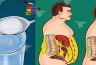 Uma desintoxicação completa que dura apenas 2 dias – vai limpar seu corpo do açúcar e toxinas, ajudar você a perder peso e impulsionar sua saúde