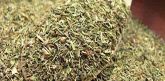 Use esta erva para combater doenças no aparelho digestivo, pressão alta, arritmia, problemas de memória e depressão