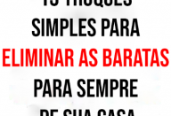 15 truques simples para eliminar as baratas para sempre de sua casa.