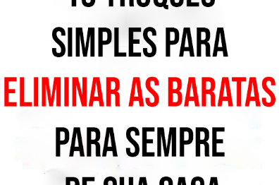 15 truques simples para eliminar as baratas para sempre de sua casa.
