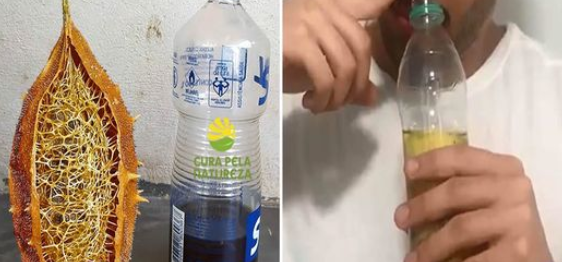 A cura da sinusite com a inalação com a buchinha-do-norte.