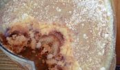BOLO PENA DE GANSO, É UM BOLO FOFÍSSIMO DE COLHER, O MAIS DELICIOSO QUE EU JÁ COMI!