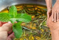 Chá-de-ervas-regenera-a-cartilagem-e-combate-a-osteoartrite-768×384-1