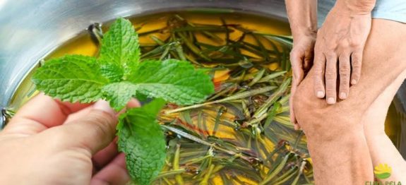 Chá-de-ervas-regenera-a-cartilagem-e-combate-a-osteoartrite-768×384-1